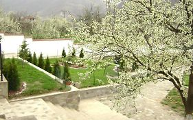 Pension Casa Natura Guest House