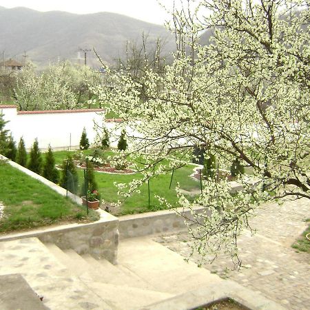 Pension Casa Natura Băile Herculane Exterior foto