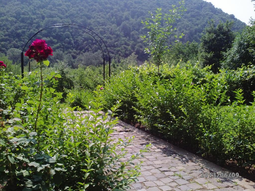 Pension Casa Natura Băile Herculane Exterior foto