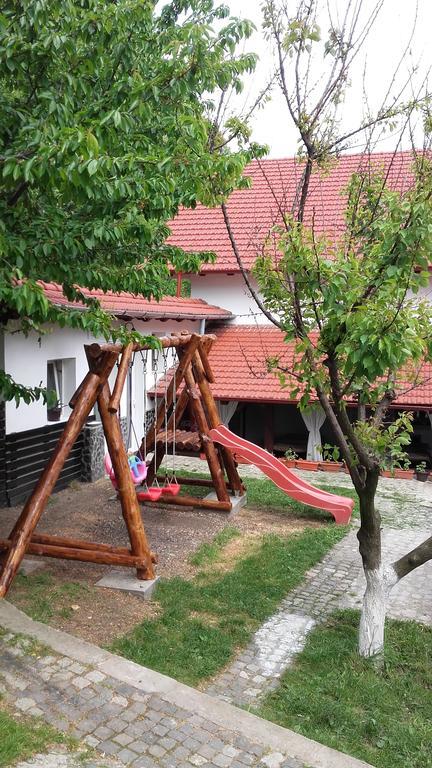 Pension Casa Natura Băile Herculane Exterior foto