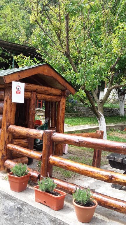 Pension Casa Natura Băile Herculane Exterior foto