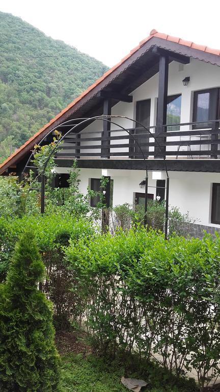 Pension Casa Natura Băile Herculane Exterior foto