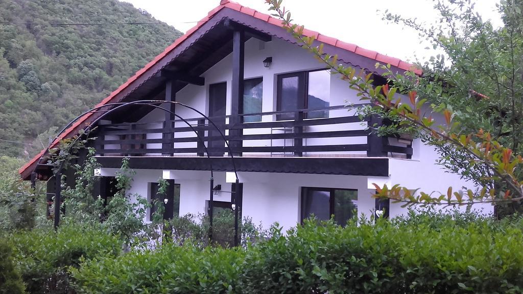 Pension Casa Natura Băile Herculane Exterior foto